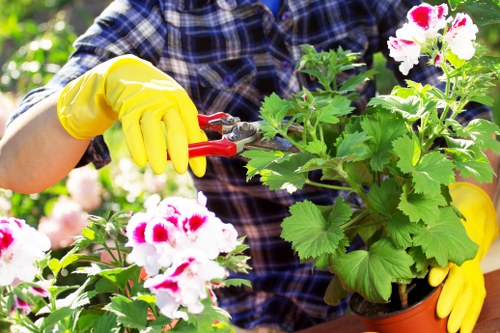 Gardener reviewing safe outdoor working procedures