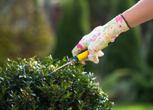 Creekmouth garden hedge cutting service with clean finished lines