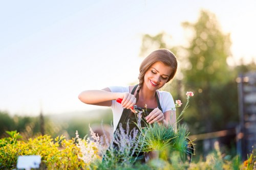 Healthy outdoor space maintained by Gardeners Creekmouth