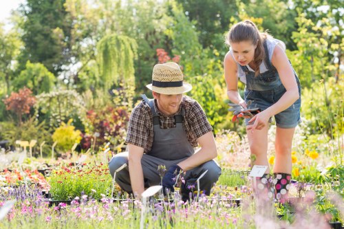 Garden maintenance in Creekmouth with tidy lawn and trimmed hedges
