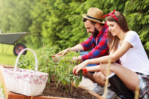Detailed garden maintenance work in Creekmouth