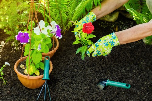 Ongoing review of inclusive digital access for Gardeners Creekmouth