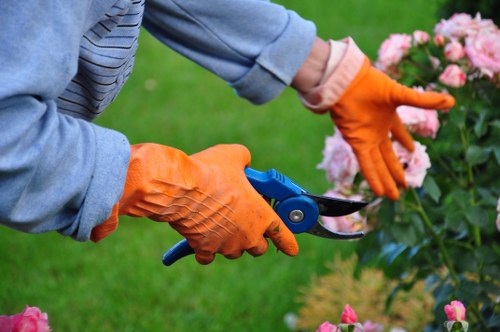 Mowing and edging lawn care in Creekmouth outdoors
