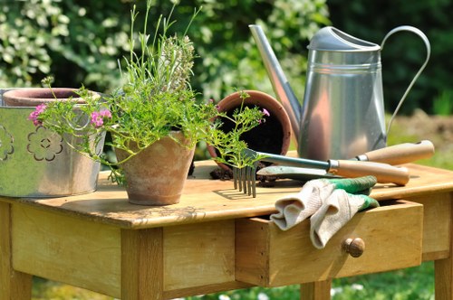 Front and rear garden planning for landscape gardening in Creekmouth