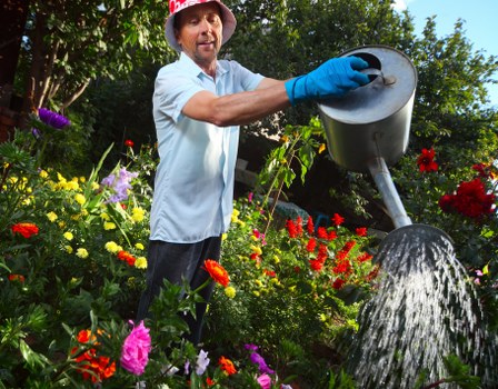 Stump grinding and tree maintenance service in Creekmouth
