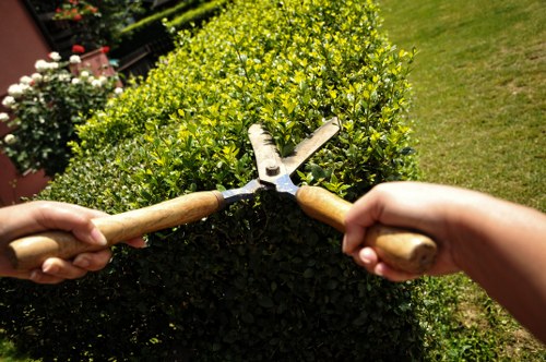Seasonal garden maintenance by local gardeners in Creekmouth