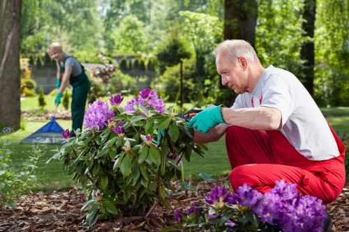 Low-maintenance fencing materials for Creekmouth homes and businesses