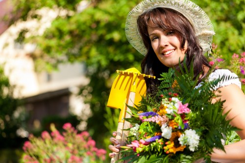 Seasonal lawn maintenance in Creekmouth for a healthy green garden