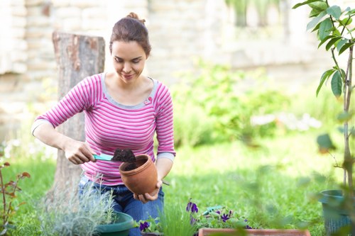 Professional gardening services in Creekmouth for tidy lawns and healthy outdoor spaces