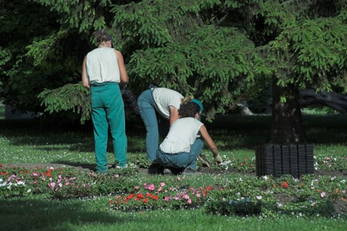 Local Creekmouth gardener providing hedge trimming and garden maintenance