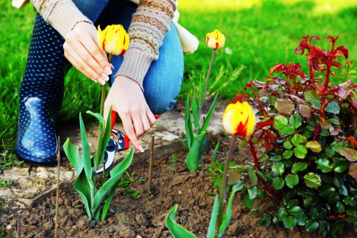 Hardy plants and shrubs selected for landscaping in Creekmouth