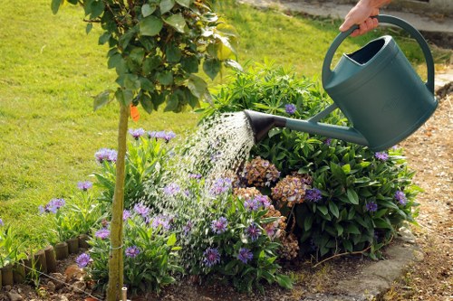 Professional garden care creating an attractive outdoor space in Creekmouth