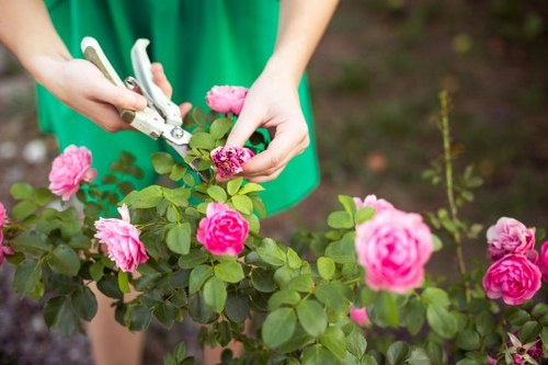 Creekmouth gardeners reviewing site risks before starting work