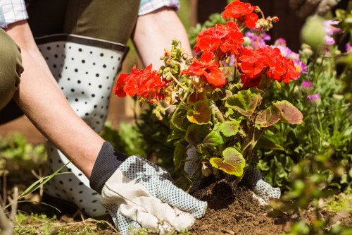 Seasonal lawn treatment and lawn care in Creekmouth