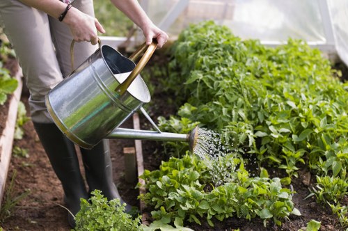 A landscaped garden in Creekmouth with shrubs and lawn care