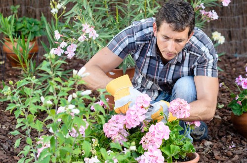 Recycling and sustainability in a Creekmouth garden service