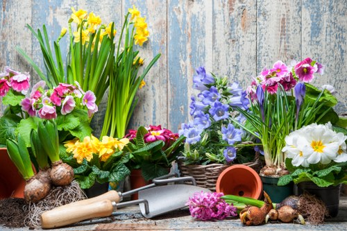 Seasonal garden maintenance in Creekmouth with clean patios and plants